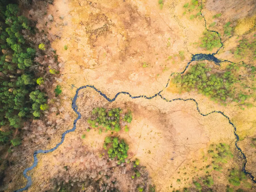 Aerial view of plains and forest with winding river | Photo by Damian Karpiński on Unsplash